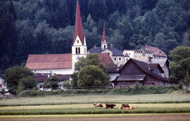 Blick auf Kirche und Schloss mit weidenden Kühen