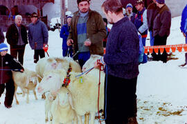 Schafzuchtverein 50 Jahre