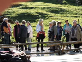 Herbstfahrt Nach Brannenburg zum Wendelstein