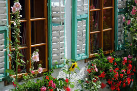Blumenrabatte vor einem Fenster im Mühlgassl