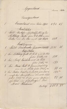 Rechnung des Amenfondes 1902