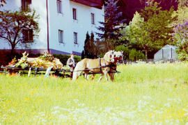 Begräbnis Öfner Rudolf