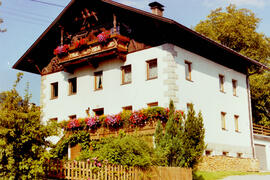Aus Dorf und Feld