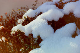 Winterbilder
