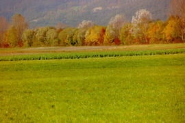 Herbst im Dorf