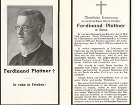 Plattner Ferdinand