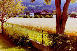 Ansichten in Dorf, Feld und Kalvarienberg