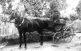 Hausknecht Engelbert Gapp