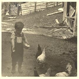 Kind beim Hühnerfüttern