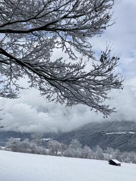 Wetterlagen-Schneetag