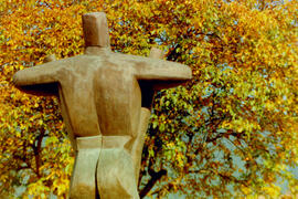 Herbst im Dorf