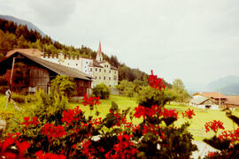 Aus Dorf und Feld