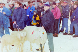 Schafzuchtverein 50 Jahre