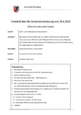 Protokoll Gemeinderat 25.6.