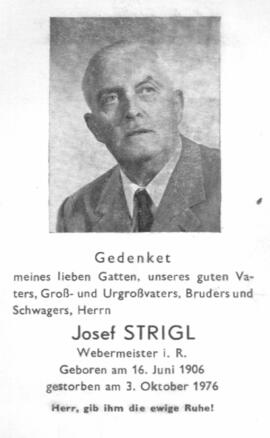 Josef Strigl
