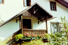 Aus Dorf und Feld