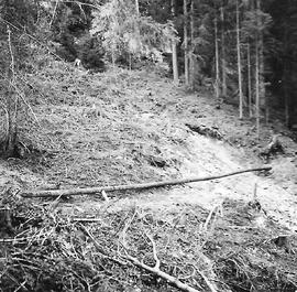 Wasserleitung im Kohlwald
