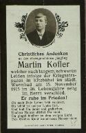 n 15 Kofler Martin