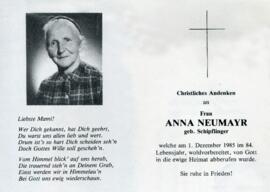 11 Neumayr Anna