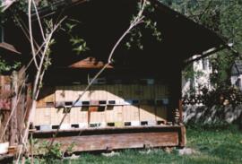 Alte Hausansichten