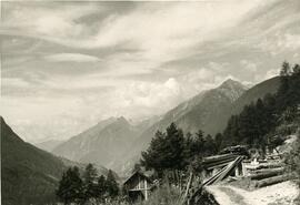 Altes Sägewerk am Larchwaldweg, 1958