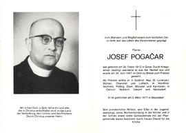 Josef Pogacar