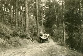 Fuhrwerk am Larchwaldweg, 1953