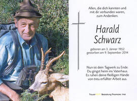 Harald Schwarz
