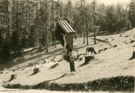 Wegkreuze Marterln, Schuchterles Kreuz, 1957