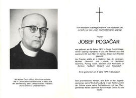 Josef Pogacar