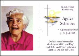 Scheiber Agnes, +2012