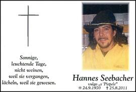 Seebacher Hannes, +2011