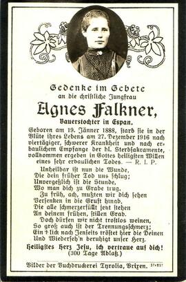 Falkner Agnes, +1916