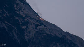 HJF/DSC02268