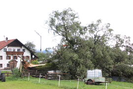 Kapelle Wald Umsturz Linde 33JMF