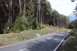 Wegkreuz Grutsch 2017-04-13_05  JMF