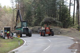 B 189 Holzschlaegerung 2014-03-28_10 JMF