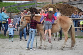 Pegasus 2017-09-09_12 Krug Herbert