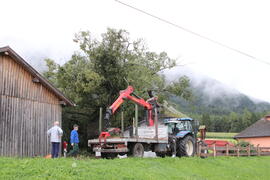 Kapelle Wald Umsturz Linde 29JMF