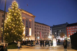 Weihnachtsbaum 2024-11-29_51 JMF - Kopie
