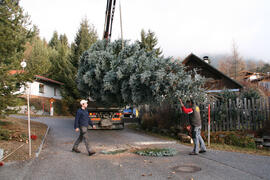 Landjugend Weihnachtsbaum2009-11-28_8 JMF