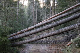 Sturmschäden re Klammbach 2023-12-26_3 JMF