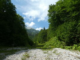 Pleissental 2018-08-1 JMF