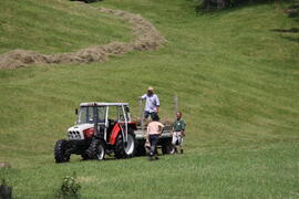 Arzkasten Feldarbeit 2012-06-30 JMF