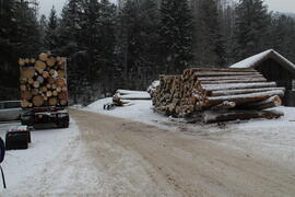 Holztransport 2013-02-12_1 JMF