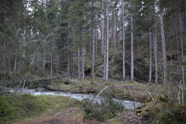 Sturmschäden li Klammbach 2023-12-26_1 JMF