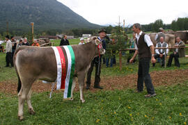 Kalbinnen Gesamtsieger 100 Stecher Alfred 2010-05-02 JMF