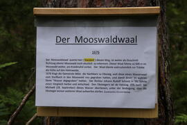 Mooswaldwaal 1JMF