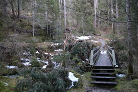 Sturmschäden Klammbachbrücke 2023-12-26 JMF