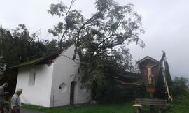 Kapelle Wald Umsturz Linde 21Strigl Daniel